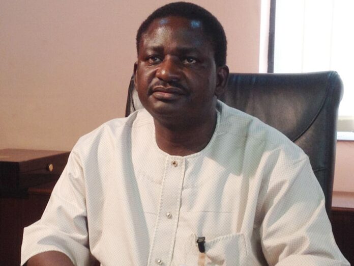 Femi Adesina,