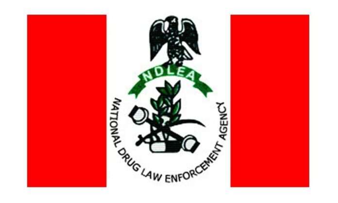 NDLEA