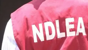 NDLEA