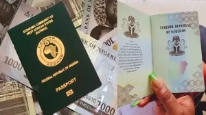 Nigeria international passport fee increases 