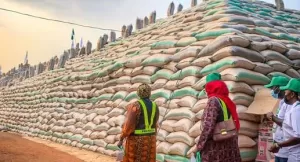 Fg sells 50kg rice at 40k