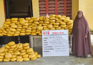 NDLEA Intercepts drugs 