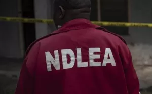 NDLEA 