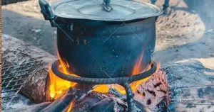 cooking gas | fire wood