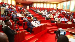 2025 Budget: Senate Threatens Zero Allocation For Non-Compliant Agencies