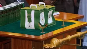 FEC Approves N47.9 Trillion Budget Proposal For 2025