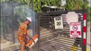 Lagos orders removal of illegal street gates